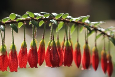 中山南头7私人快速借钱网，轻松解决资金难题