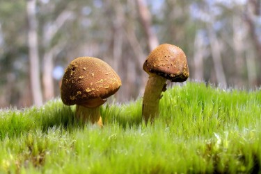 中山南头7私人老板放款：轻松融资的秘密通道